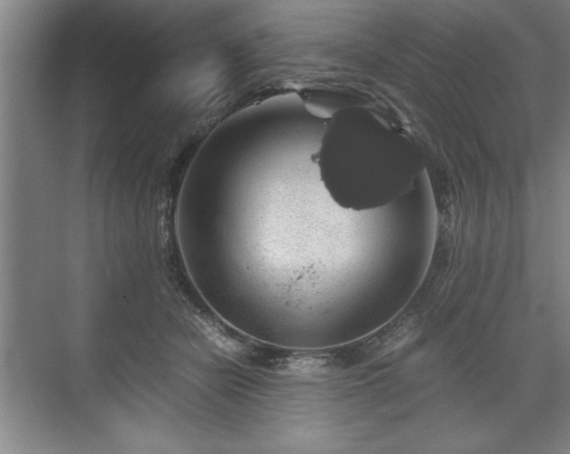 X0000071780462200607071434