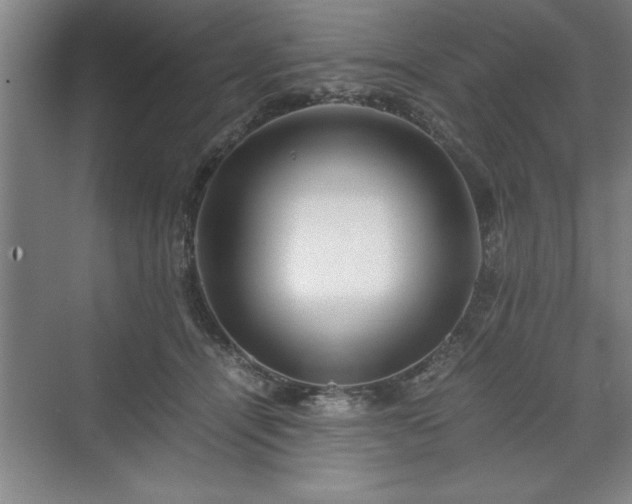 X0000071780464200607071434