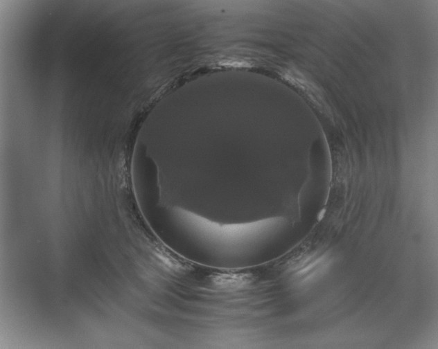 X0000071780465200607071434