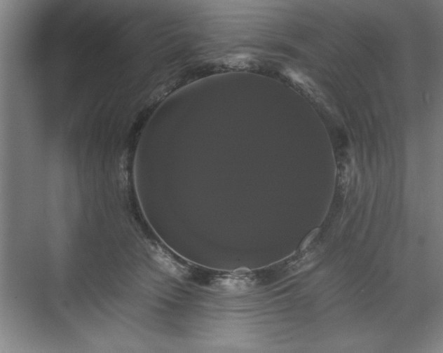 X0000071780466200607071434