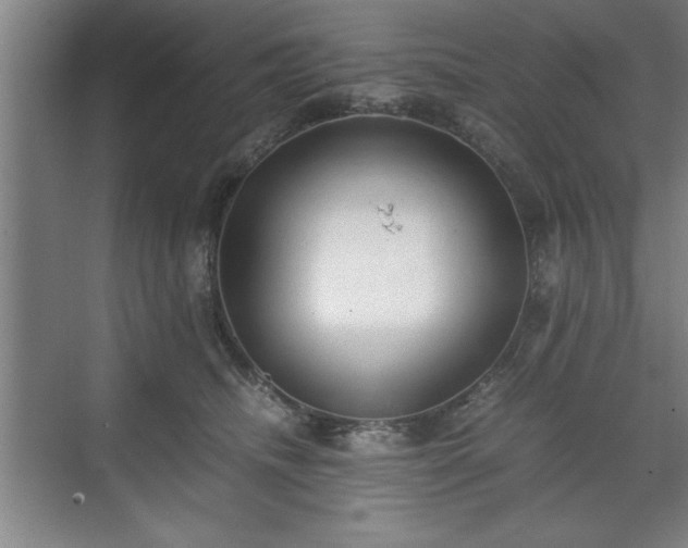 X0000071780468200607071434