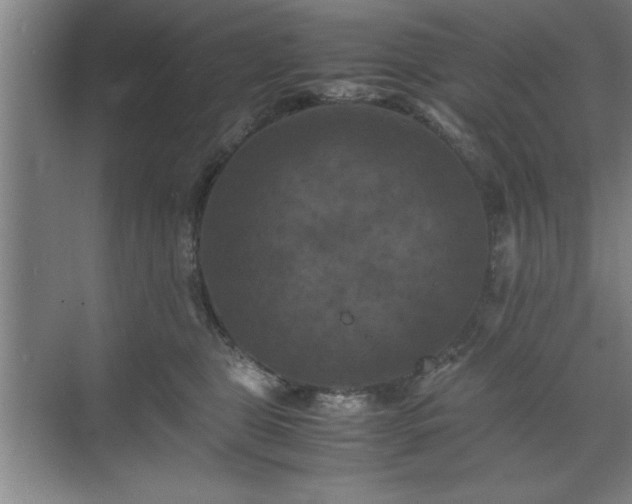 X0000071780469200607071434