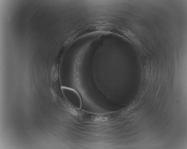 X0000071780471200607071434