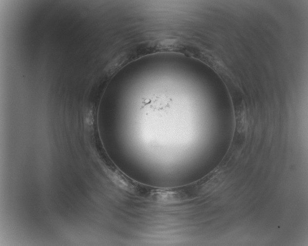 X0000071780472200607071434