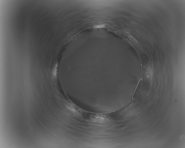 X0000071780475200607071434