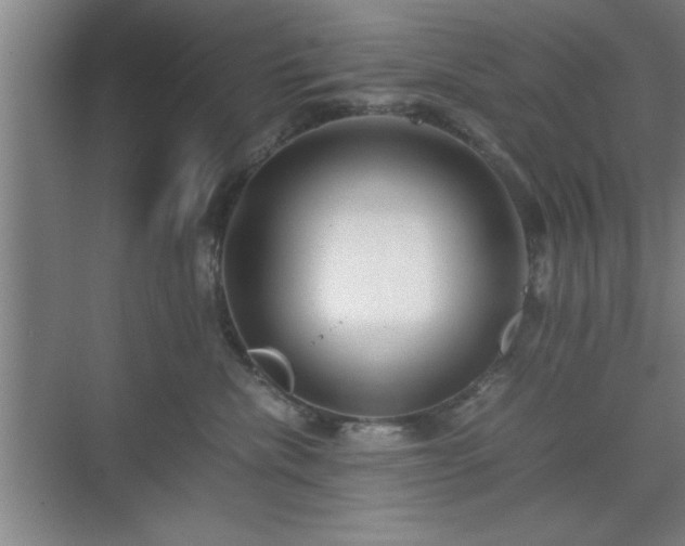 X0000071780476200607071434