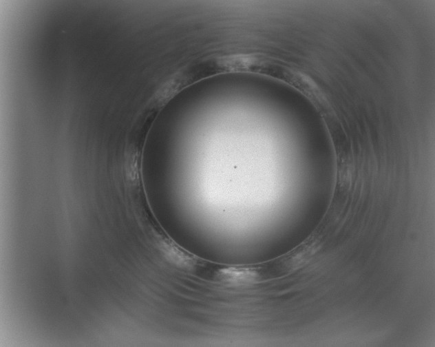 X0000071780477200607071434