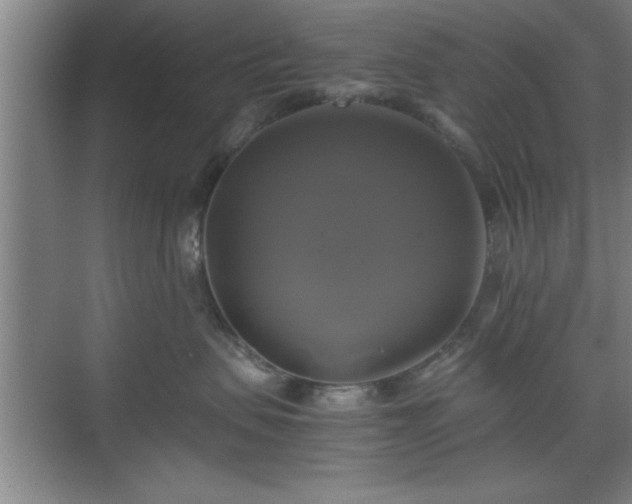 X0000071780479200607071434