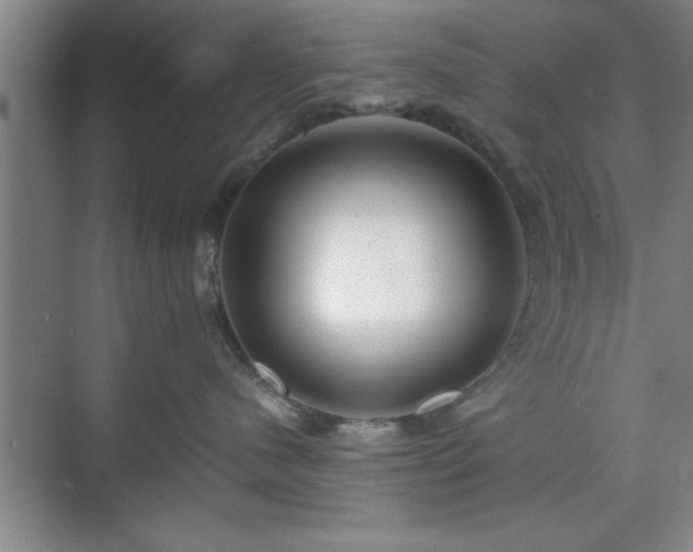 X0000071780480200607071434