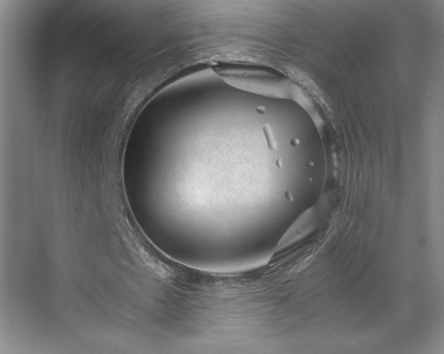 X0000071780481200607071434