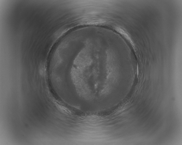 X0000071780483200607071434