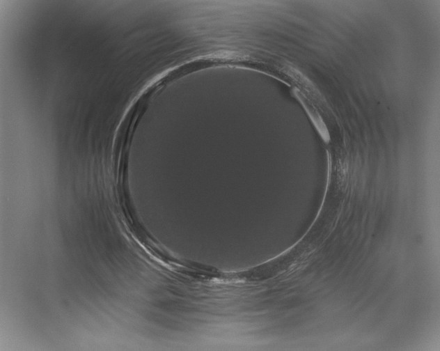 X0000071780484200607071434