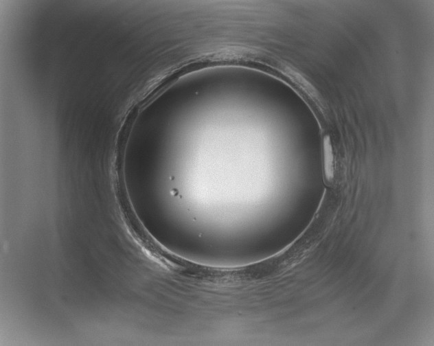 X0000071780485200607071434