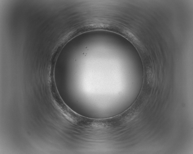 X0000071780490200607071433