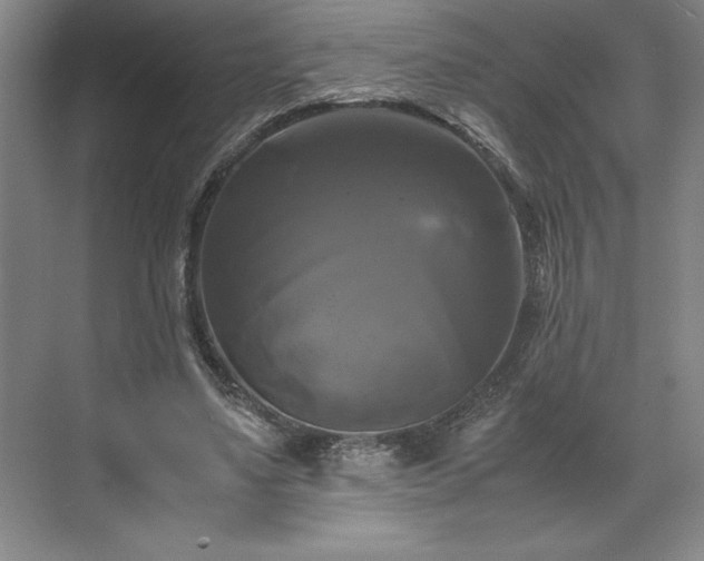 X0000071780491200607071433