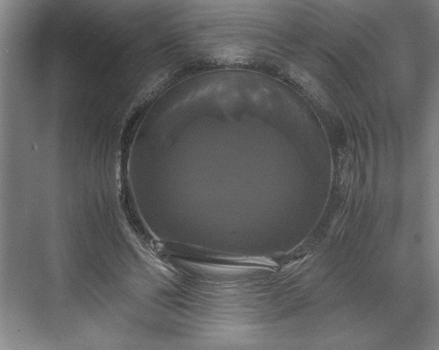 X0000071780494200607071433