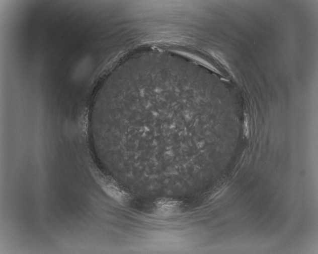 X0000071780495200607071433