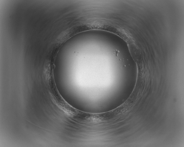 X0000071780498200607071433