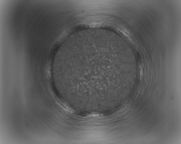 X0000071780499200607071433