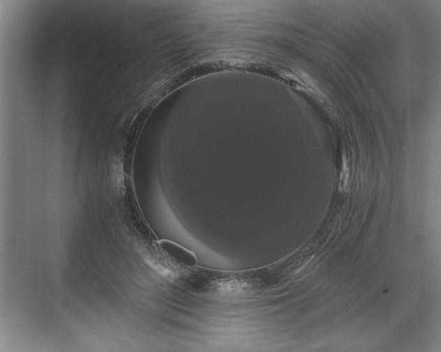 X0000071780500200607071433