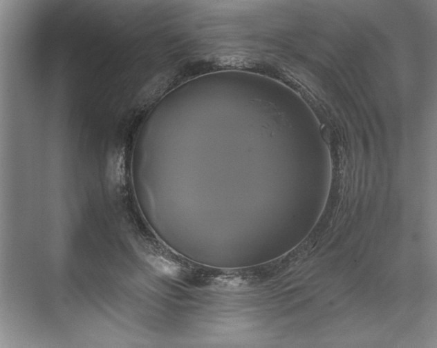 X0000071780502200607071433