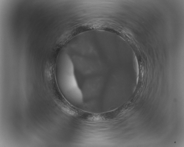 X0000071780503200607071433