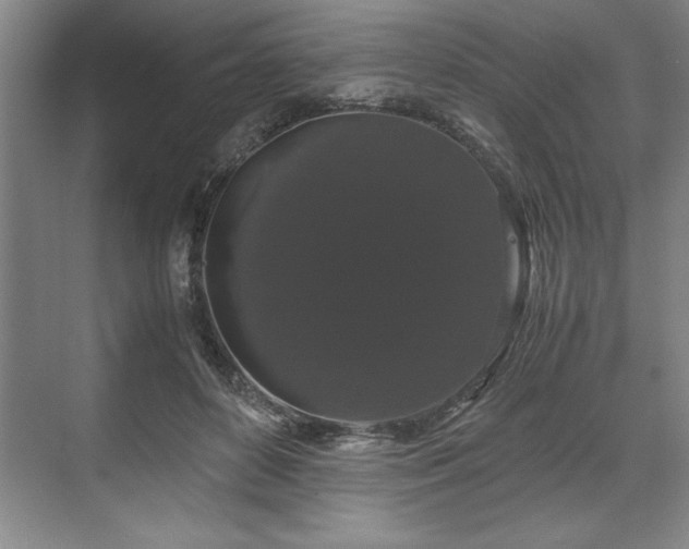 X0000071780504200607071433