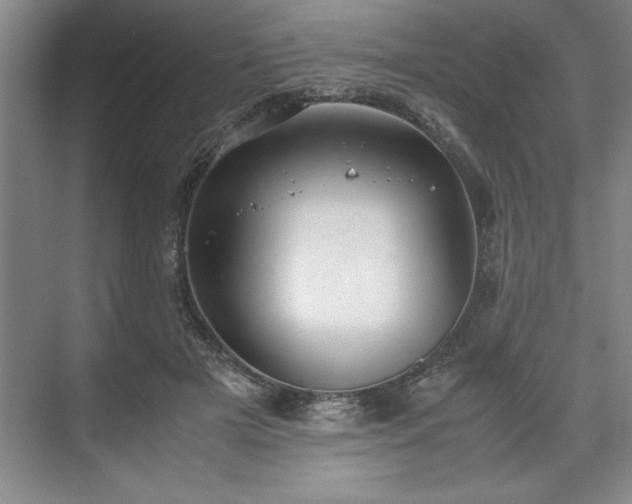 X0000071780505200607071433