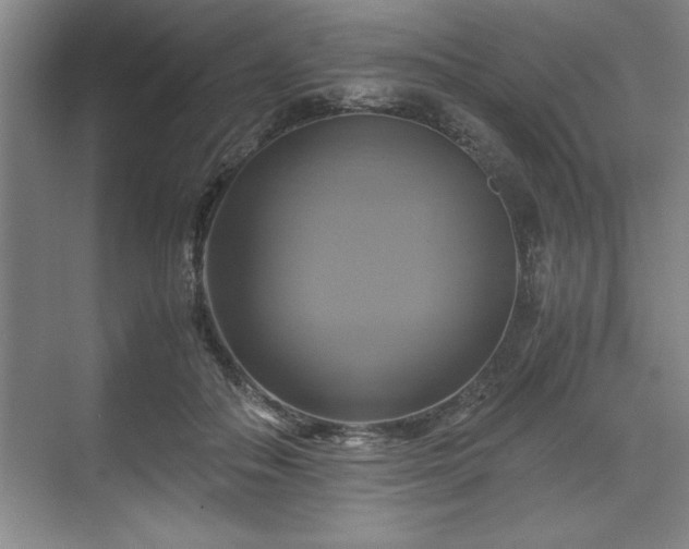 X0000071780506200607071433