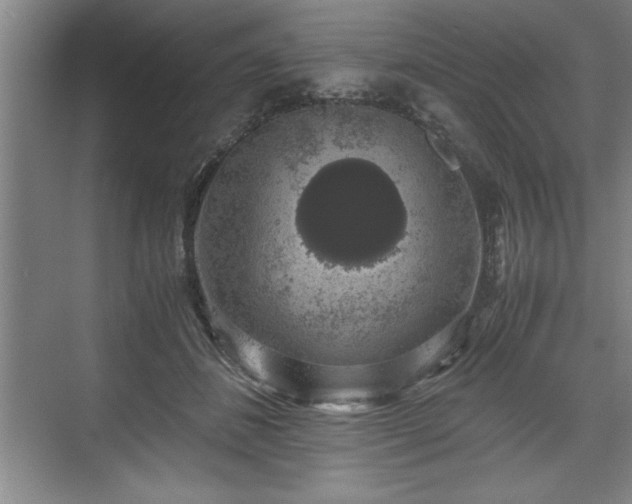 X0000071780508200607071433