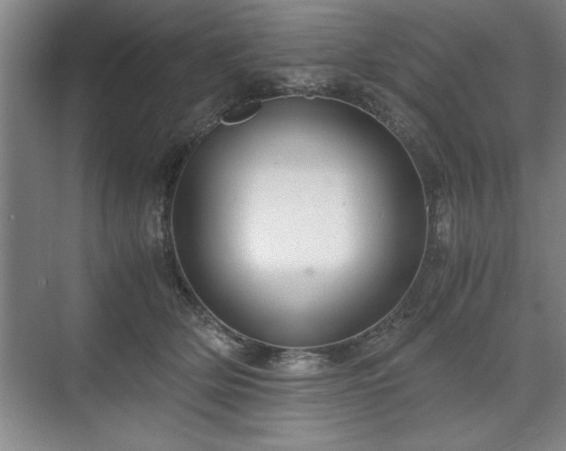 X0000071780514200607071433