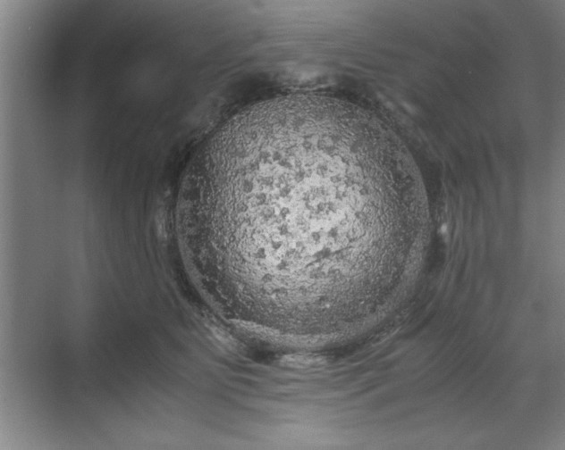 X0000071780515200607071433