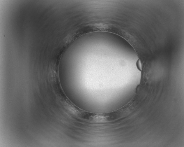 X0000071780518200607071433