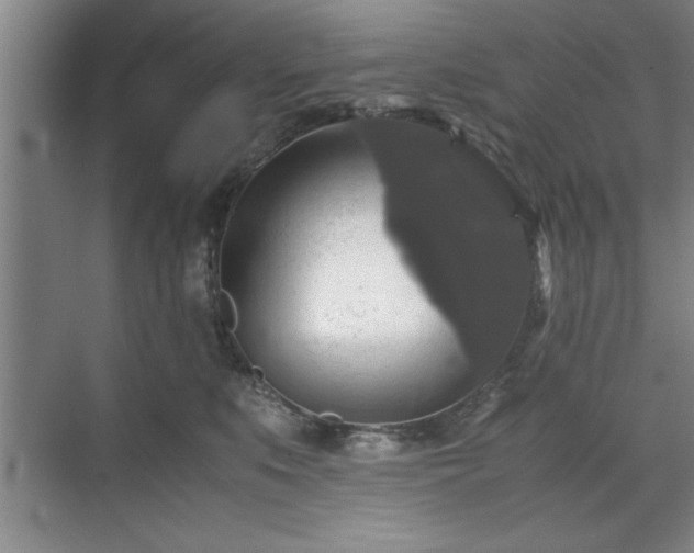 X0000071780519200607071433