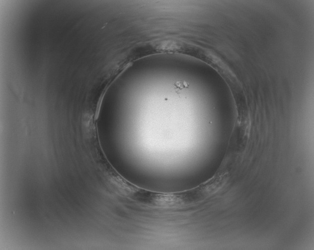 X0000071780521200607071433