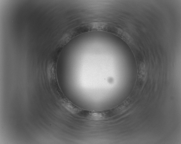 X0000071780522200607071433