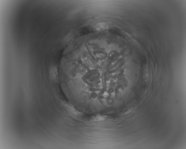 X0000071780523200607071433