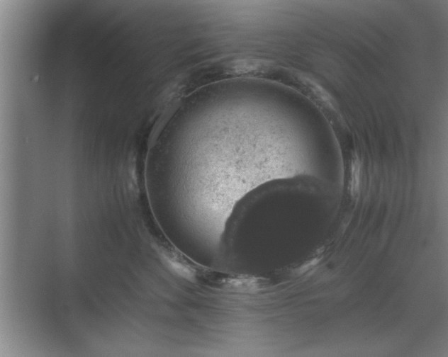 X0000071780524200607071433