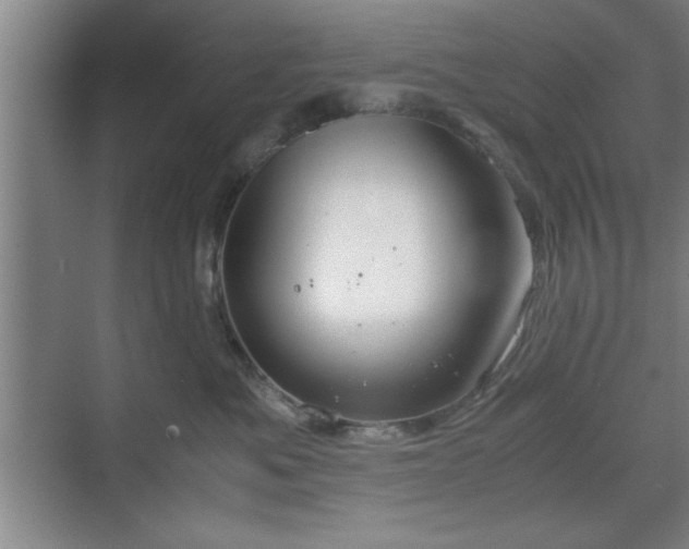 X0000071780525200607071433