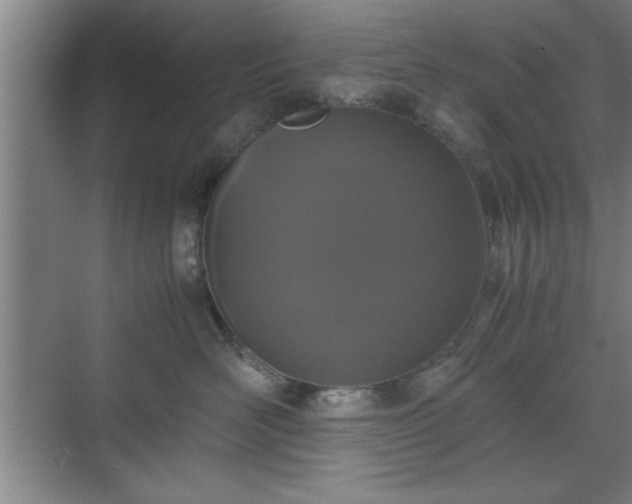 X0000071780526200607071433