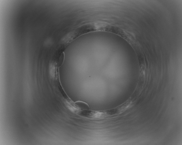 X0000071780527200607071433