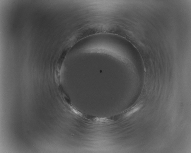 X0000071780528200607071433