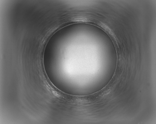 X0000071780529200607071432