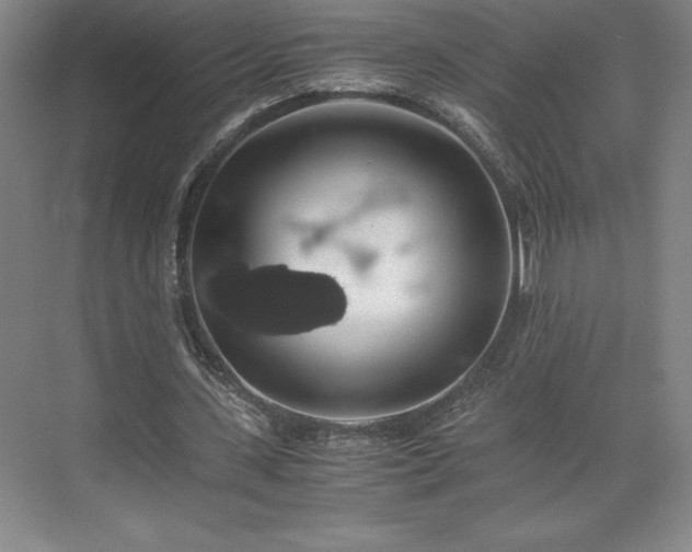 X0000071780531200607071432