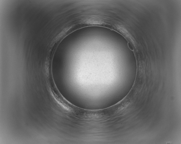 X0000071780533200607071432