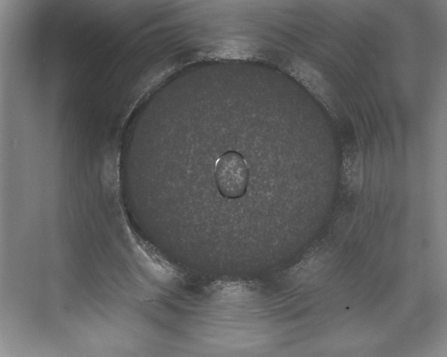 X0000071780534200607071432