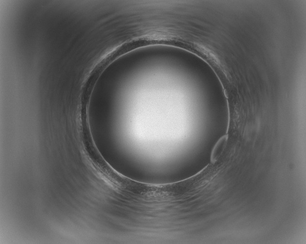 X0000071780535200607071432