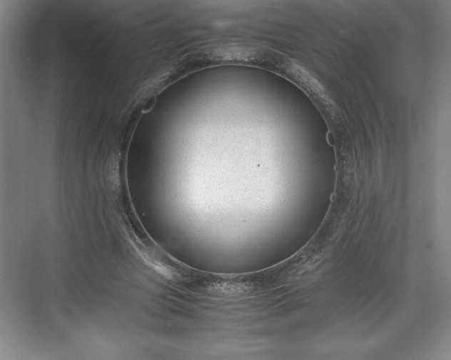 X0000071780537200607071432