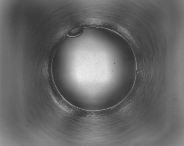 X0000071780538200607071432