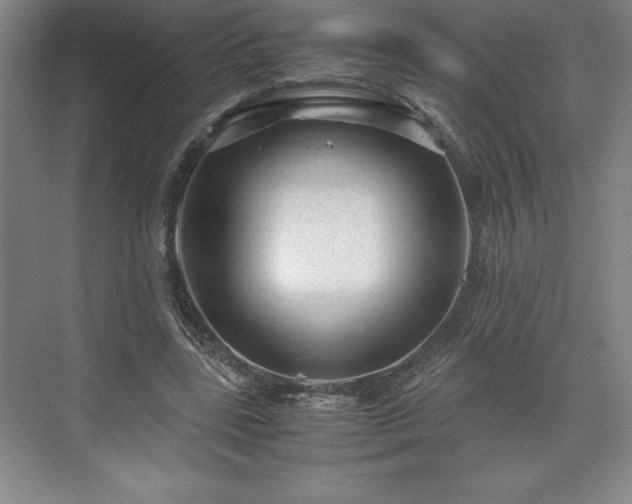 X0000071780539200607071432